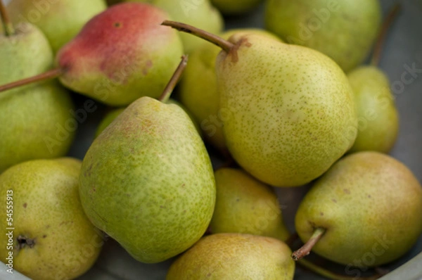 Obraz Pear fruits