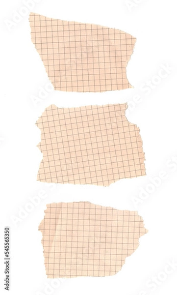 Obraz Scraps of squared paper on white background