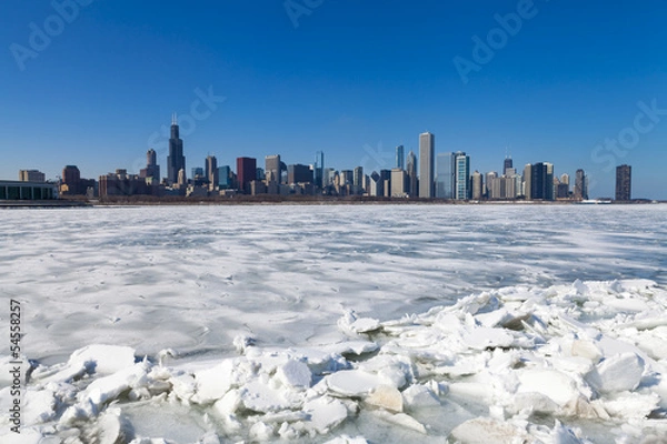 Obraz Chicago skyline