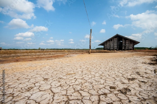 Fototapeta dry soil texture