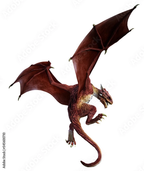 Obraz 3D Rendered Red Wyvern - A Bipedal Dragon Isolated on Transparent Background - 3D Illustration