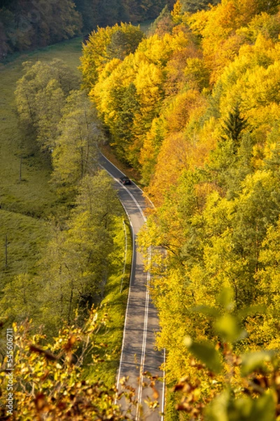 Obraz Jesienna droga