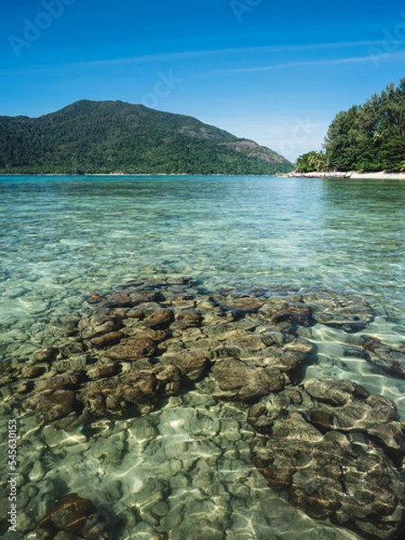 Fototapeta Scenic view of Sunset Beach, Koh Lipe Island. Crystal clear shallow water with coral reef transparent against summer blue sky and Koh Adang Island background. Satun, Thailand.