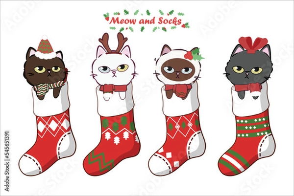 Obraz Collection of cute cats in Christmas socks. Draw illustration cat in Christmas Sock for Christmas day and New year. Vector illustration, flat style. Cartoon New Year