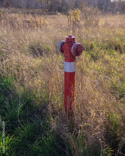 Obraz red fire hydrant