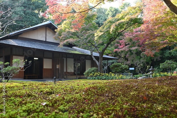 Obraz 古民家と紅葉