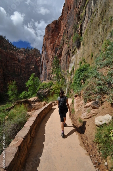 Fototapeta Zion National Park