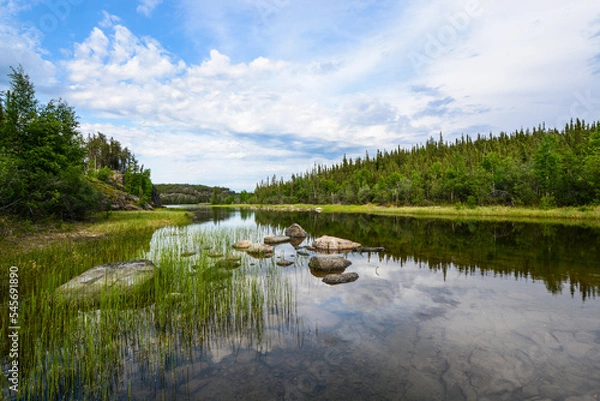 Obraz lake in the forest