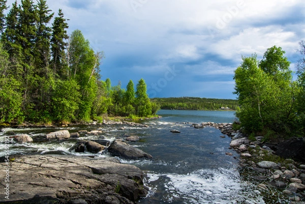 Obraz river in the forest