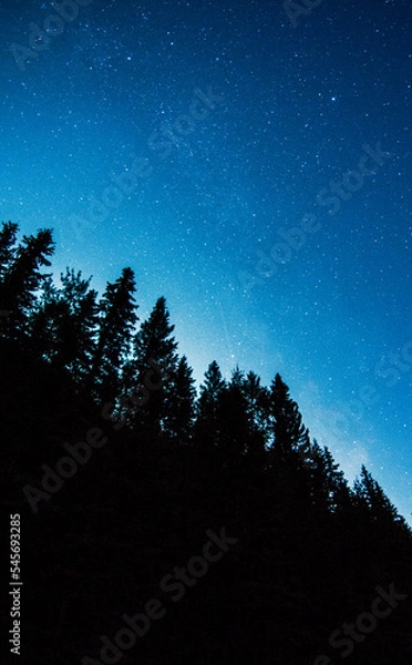 Obraz milky way landscape with trees