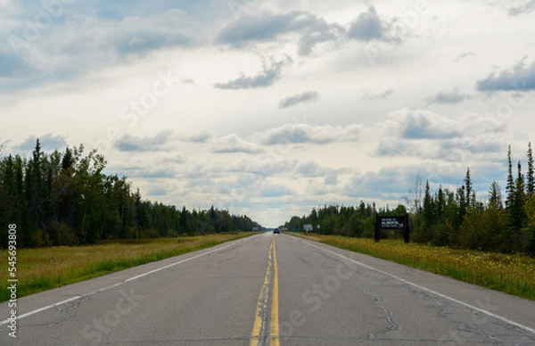 Obraz road in the forest