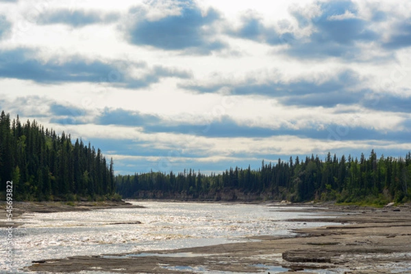 Obraz forest in north canada