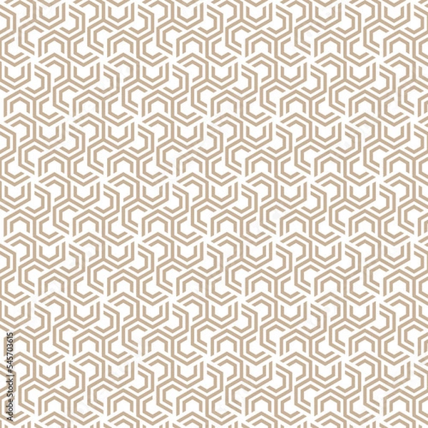 Fototapeta Abstract geometric and seamless pattern.  Back drop with line ornament