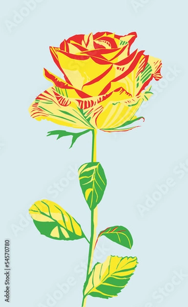 Fototapeta Rote rose erblüht