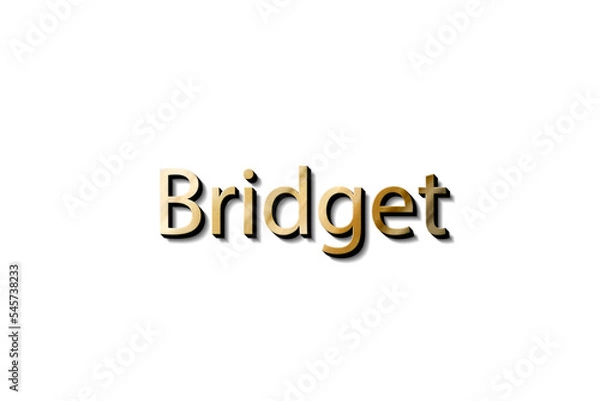 Fototapeta 3D MOCKUP BRIDGET
