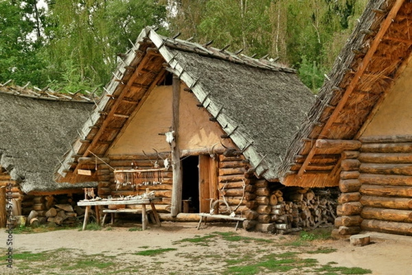 Obraz Biskupin settlement houses