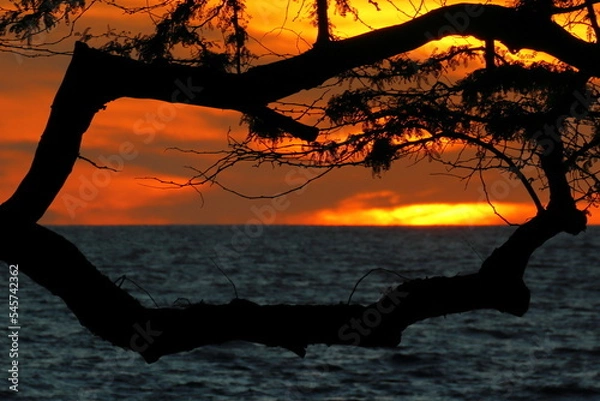 Obraz sunset over the pacific