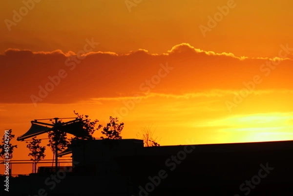 Fototapeta sunset over the city