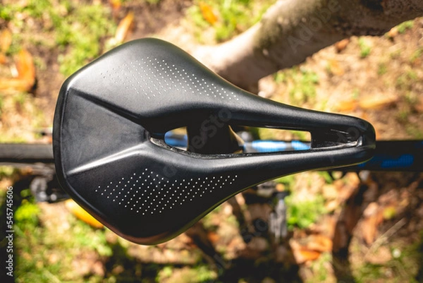 Obraz Details of the saddle of a pro bike in the park in a sunny day