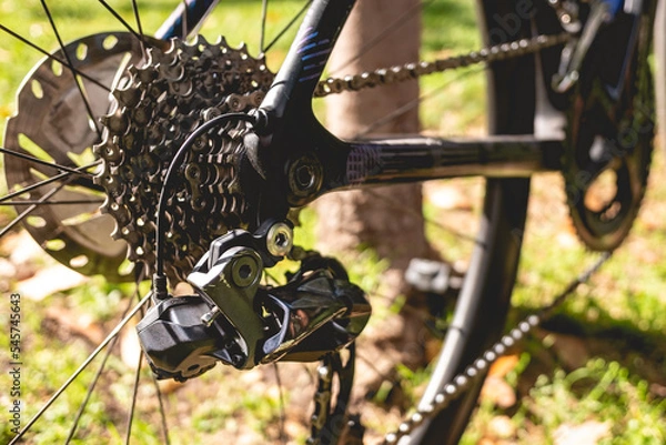 Fototapeta Details of the cog, chain and rear brake pro bike in the park in a sunny day