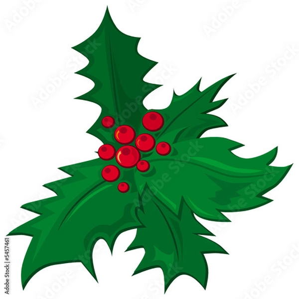 Fototapeta mistletoe, vector