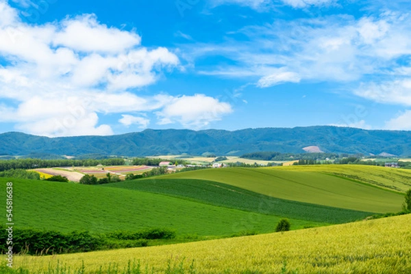 Obraz 北海道、美瑛の四季彩の丘の遠景
