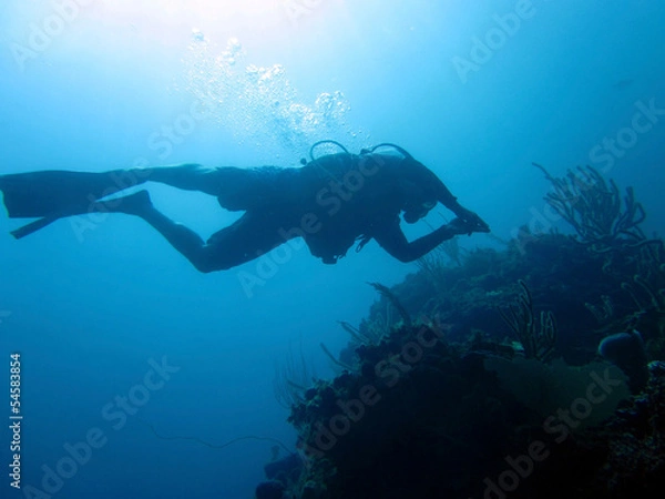 Fototapeta Diver Down