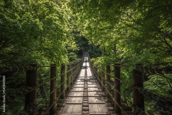 Fototapeta 茨城県 花貫渓谷 新緑