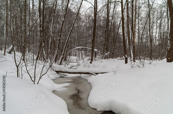 Obraz A stream in the winter forest.