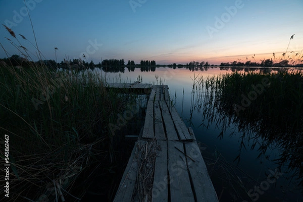 Fototapeta swamp trail