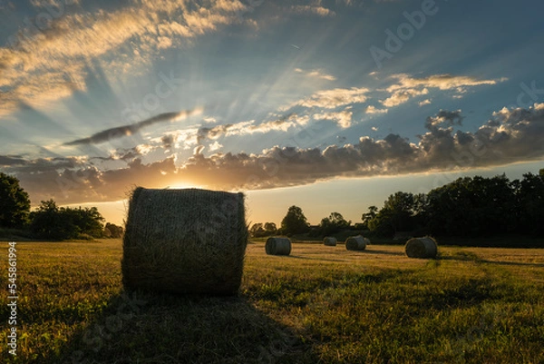 Fototapeta sunset over the field