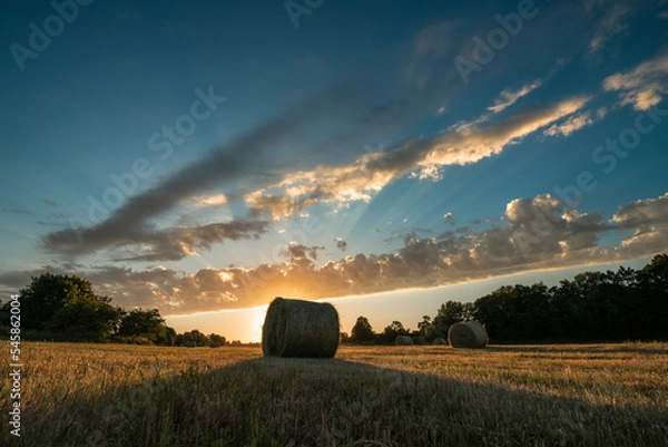 Fototapeta sunset over the field