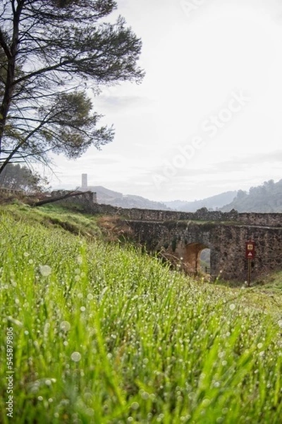 Fototapeta Morning dew at the start of a popular hike from the old town of Alarcon, Spain, with Torre de Armas in the distance