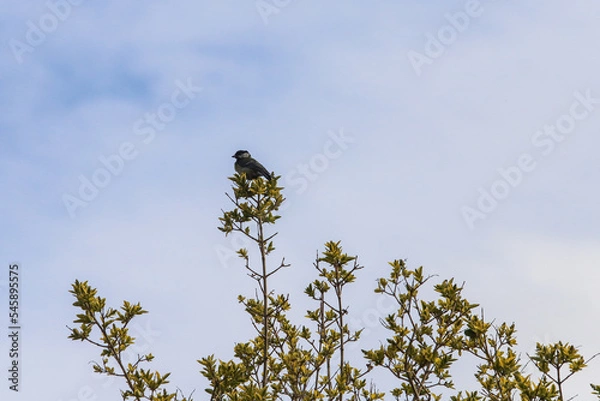 Obraz Utopia Lille 3000