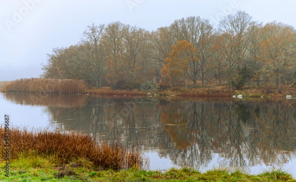 Fototapeta autumn landscape with lake and trees