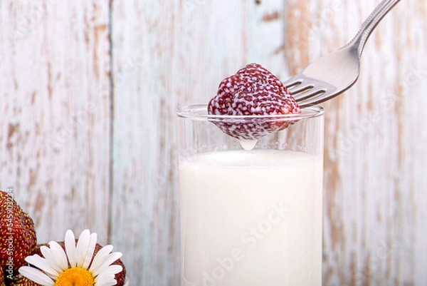 Fototapeta Ripe strawberries in milk. Strawberries on a fork and a glass of milk close-up on a worn wooden background, macro photography