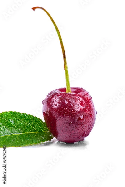 Fototapeta Ripe cherry in drops of water, isolated on a white background, macro photography