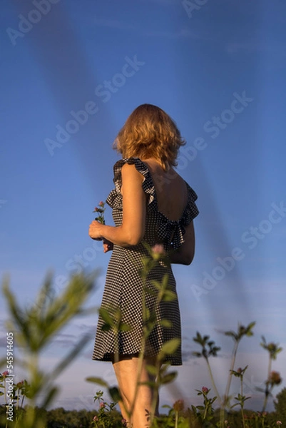 Fototapeta a woman in a black sundress with her hair down stands with her back in a field against a blue sky with grass in the foreground