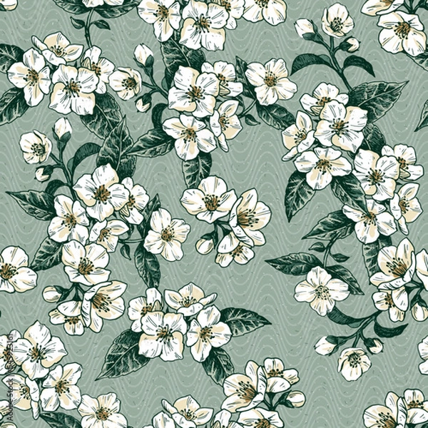 Obraz Jasmine, Seamless pattern, hand drawn vector illustration