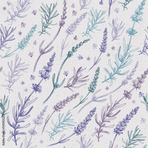 Obraz Lavender, Seamless pattern, hand drawn vector illustration