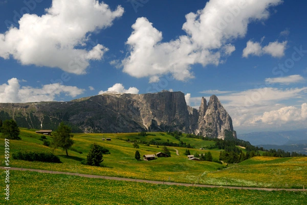 Obraz Seiser Alm mit Schlern im Hintergrund