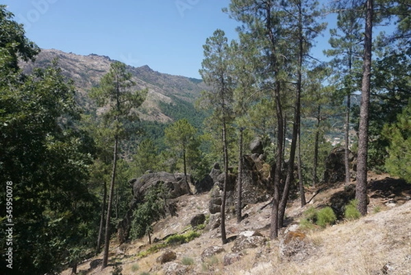 Fototapeta Inside the mountain