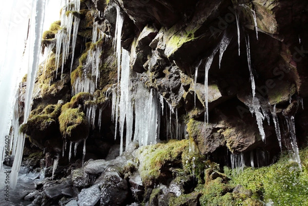 Obraz 苔と氷柱（冬季）
