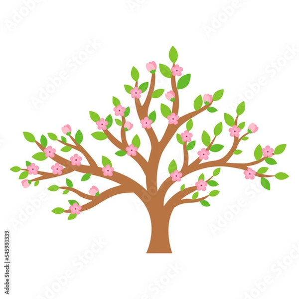 Obraz This is a blooming tree on a white background.