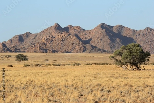 Fototapeta Beautiful landscape in Namibia