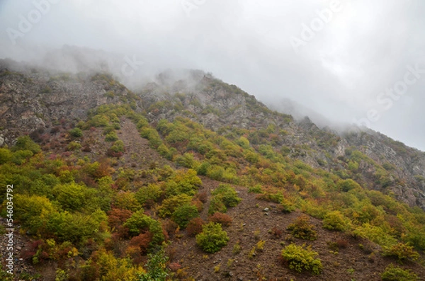Fototapeta Autumn misty mountain slopes covered with colorful vegetation on a cloudy day. Caucasus Mountains, Armenia