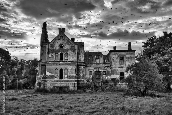Fototapeta Mesmerizing grayscale of the ruins of an old abandoned building