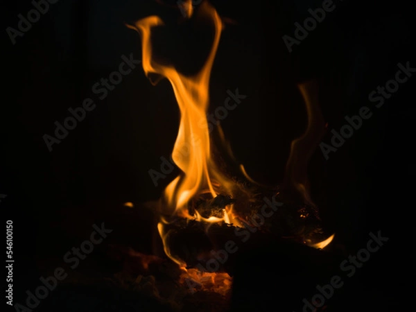 Obraz fire in the fireplace