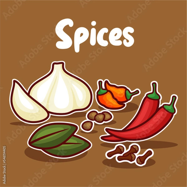 Obraz set of spices vector