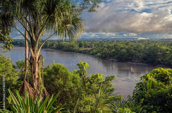 Fototapeta Panorama view on the Napo river near Ahuano
